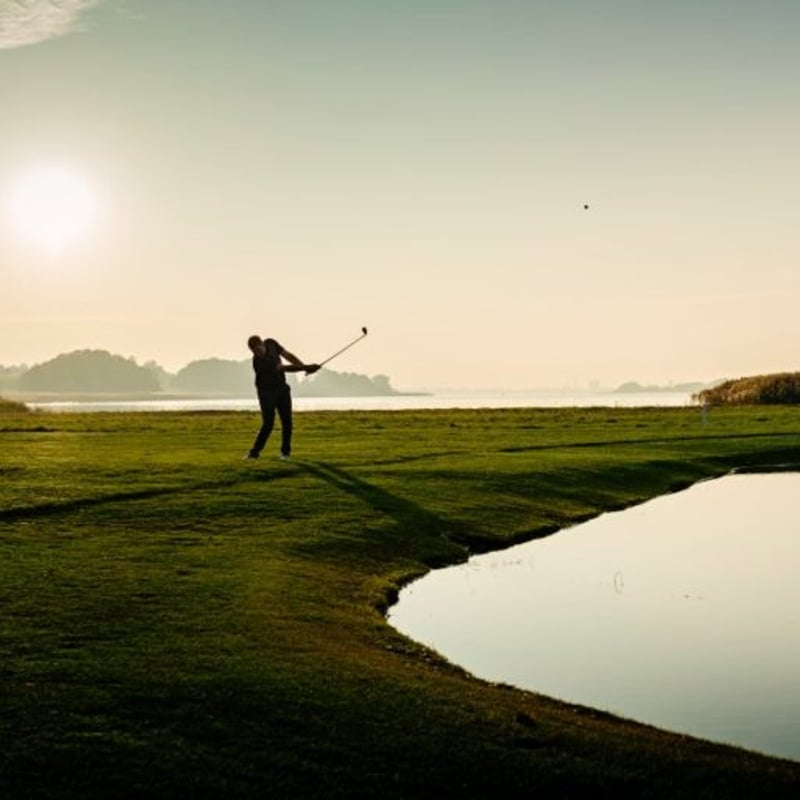ZENITH パター LA GOLF シャフト ZENITH パター LA GOLF シャフト