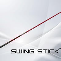 DERAMAX　スイング　スティック デラマックス スウィングスティック【2本の棒で飛距離アップ！】