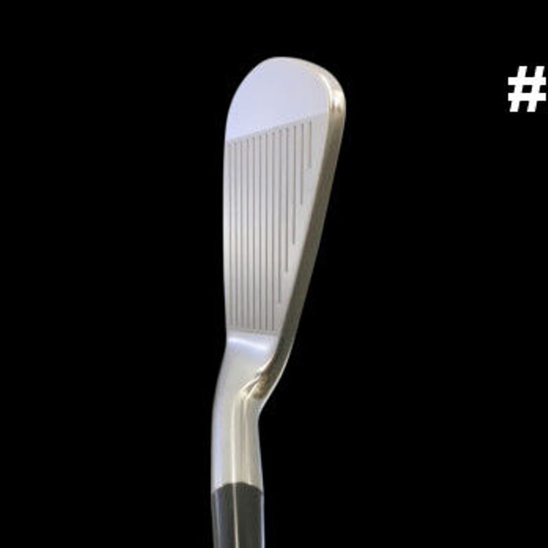 フライハイト THE-G FORGED アイアン ミッドサイズ単品 N.S.PRO