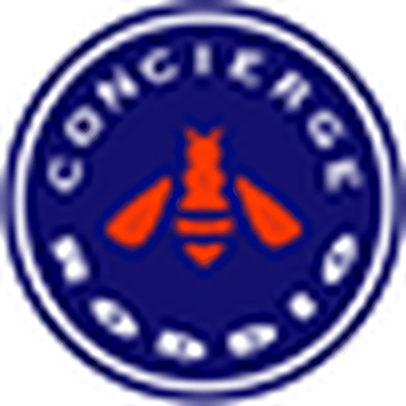 ロッディオ RODDIO アイアンシャフト STELLA ステラシリーズ 単品