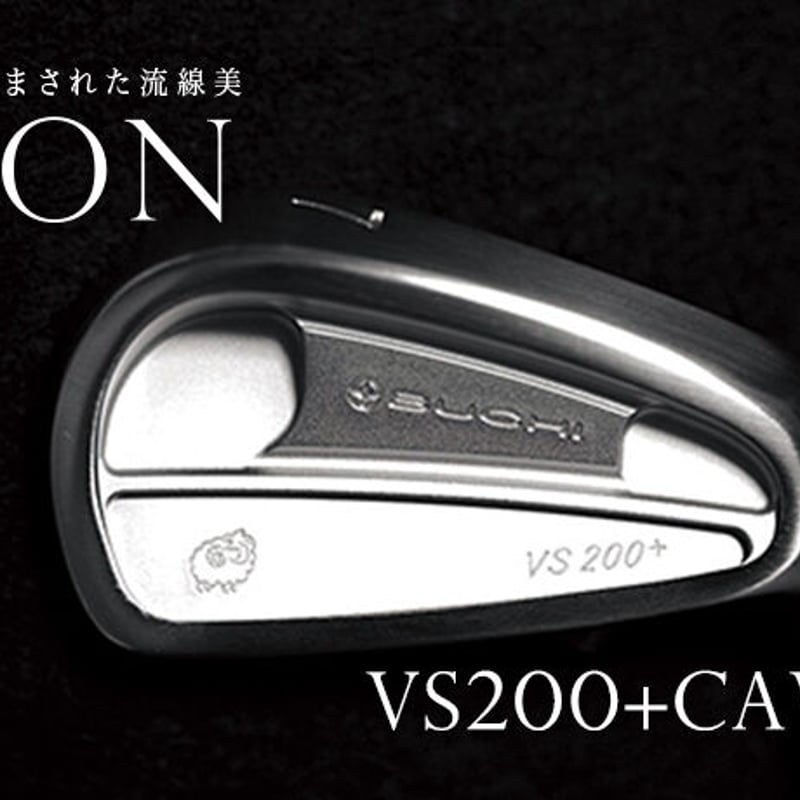 ブチ BUCHI VS200+CAVITY アイアン【＃5〜PW】6本セット N.S.PRO