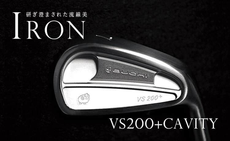 ブチ BUCHI VS200+CAVITY アイアン【＃5〜PW】6本セット N.S.PRO