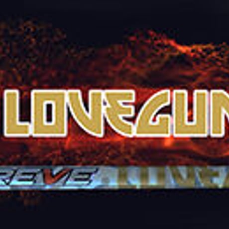 レーヴ　REVE　ラブガン　LOVEGUN  ドライバー用シャフト