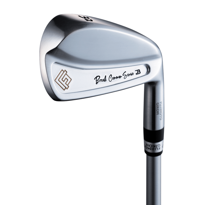 ヒメコ 藤本技工 Break Common Sense Iron #28～45(#6~P相当) ダイ