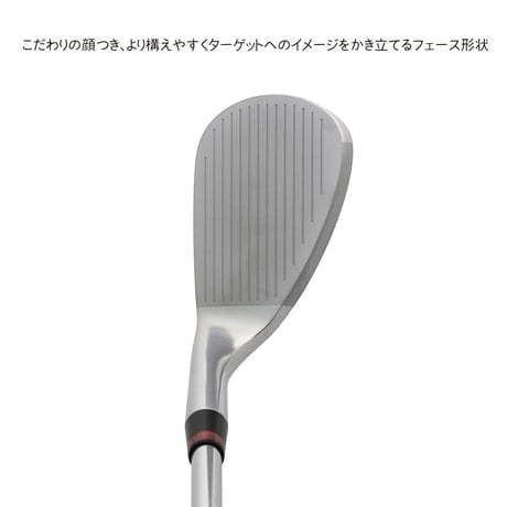 ドゥーカス　リローデッドプラスネオ　ウェッジ 　 トゥルーテンパー　ダイナミックゴールド　アイアン用スチールシャフト付