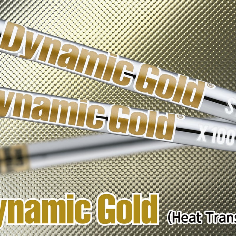 Dynamic Gold 105 S200 シャフトのみ 5番〜PW 6本セット 【公式通販】