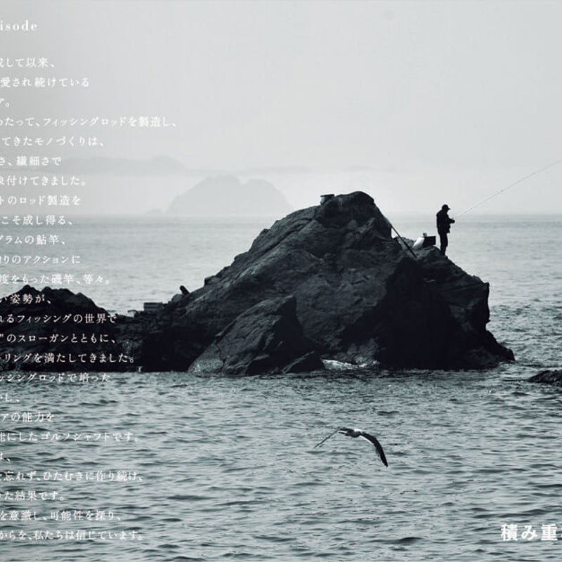 ロッディオ RODDIO PC アイアン LIGHT（ライト）【＃8〜＃Q】 4本セット