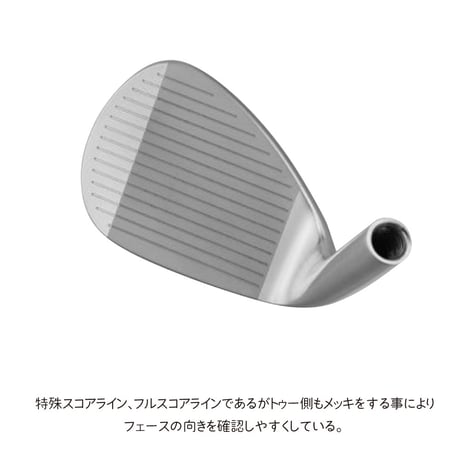 ドゥーカス　リローデッドプラスネオ　ウェッジ 　 トゥルーテンパー　ダイナミックゴールド　アイアン用スチールシャフト付