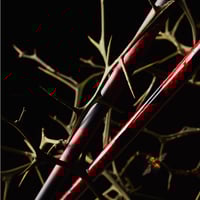 数量限定　ロッディオ　RODDIO　TT　シリーズ　フェアウェイウッド用シャフト