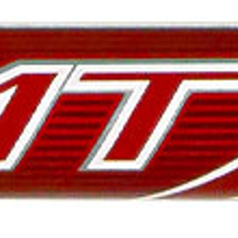 トゥルーテンパー AMT Red レッド アイアン用シャフト