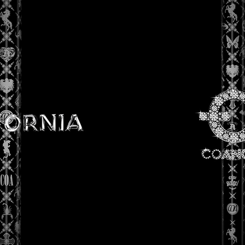 クライムオブエンジェル カリフォルニア CALIFORNIA ドライバー