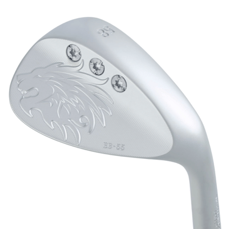 エミリッドバハマ　EB-55　ウェッジ　グラファイトデザイン　RAUNE　ラウネ　IRON　アイアン専用シャフト付