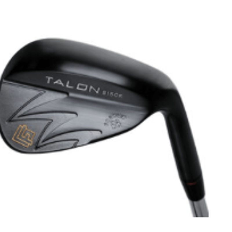 Talon TW-101 ブラックサテン IP ウェッジ（藤本技工） N.S .PRO 