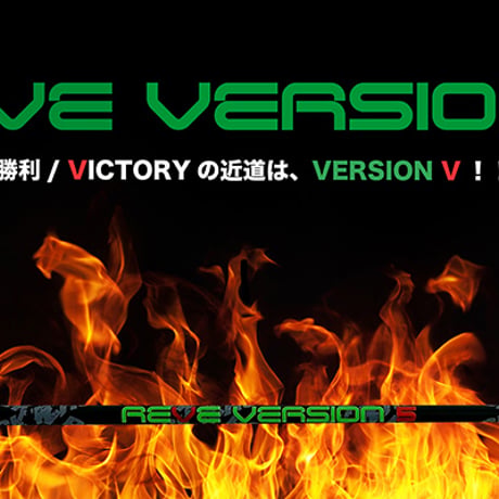 レーヴ　REVE　ヴァージョン・ファイブ　VERSION 5 ドライバー用シャフト