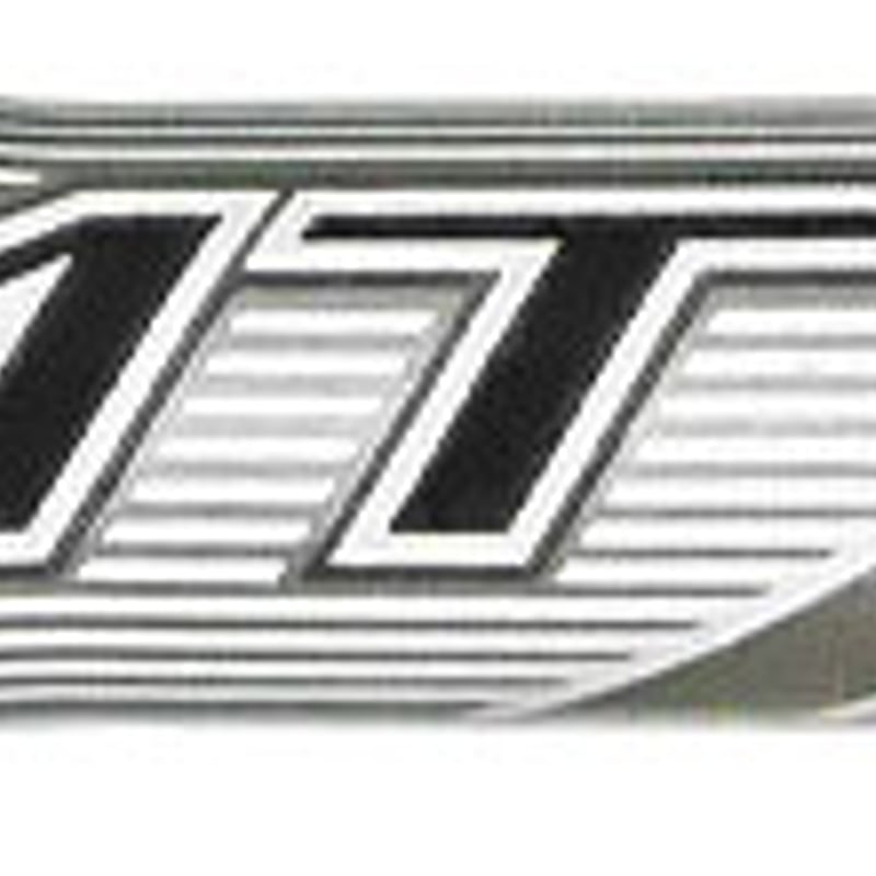 トゥルーテンパー AMT Silver シルバー アイアン用シャフト