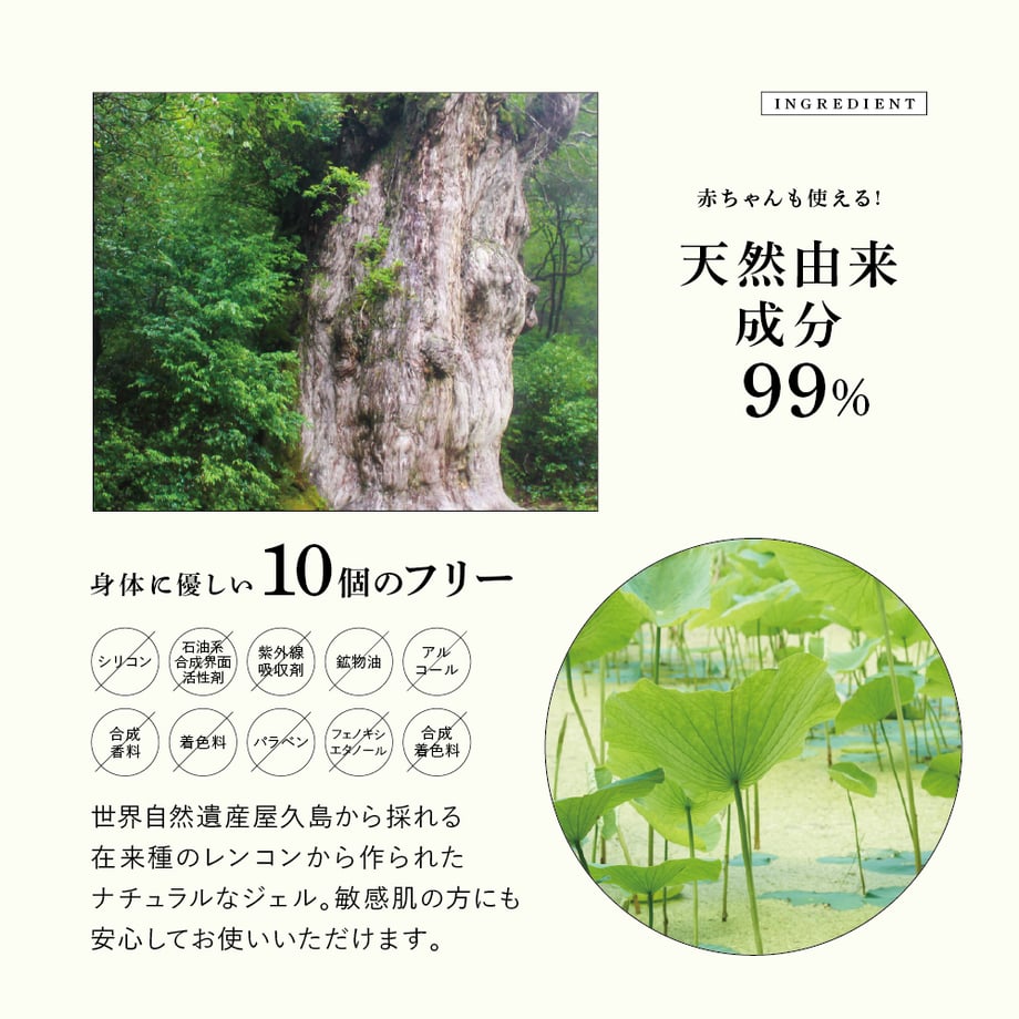 6832e8fe02ecc36bc507c05a