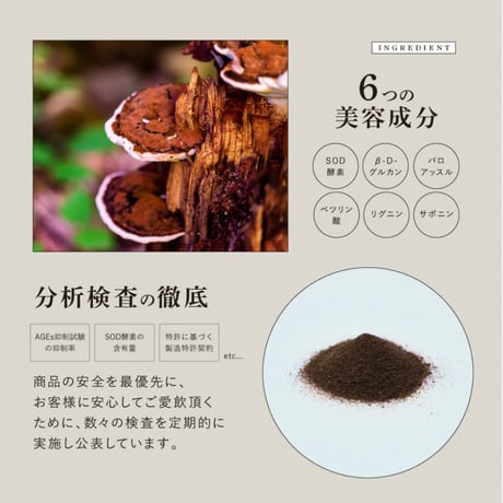 特濃チャーガ茶「RETHÉ PREMIUM」30スティック入り