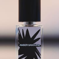 RboW ケース スタディ オードパフューム 30ml（Amber Sanguine）