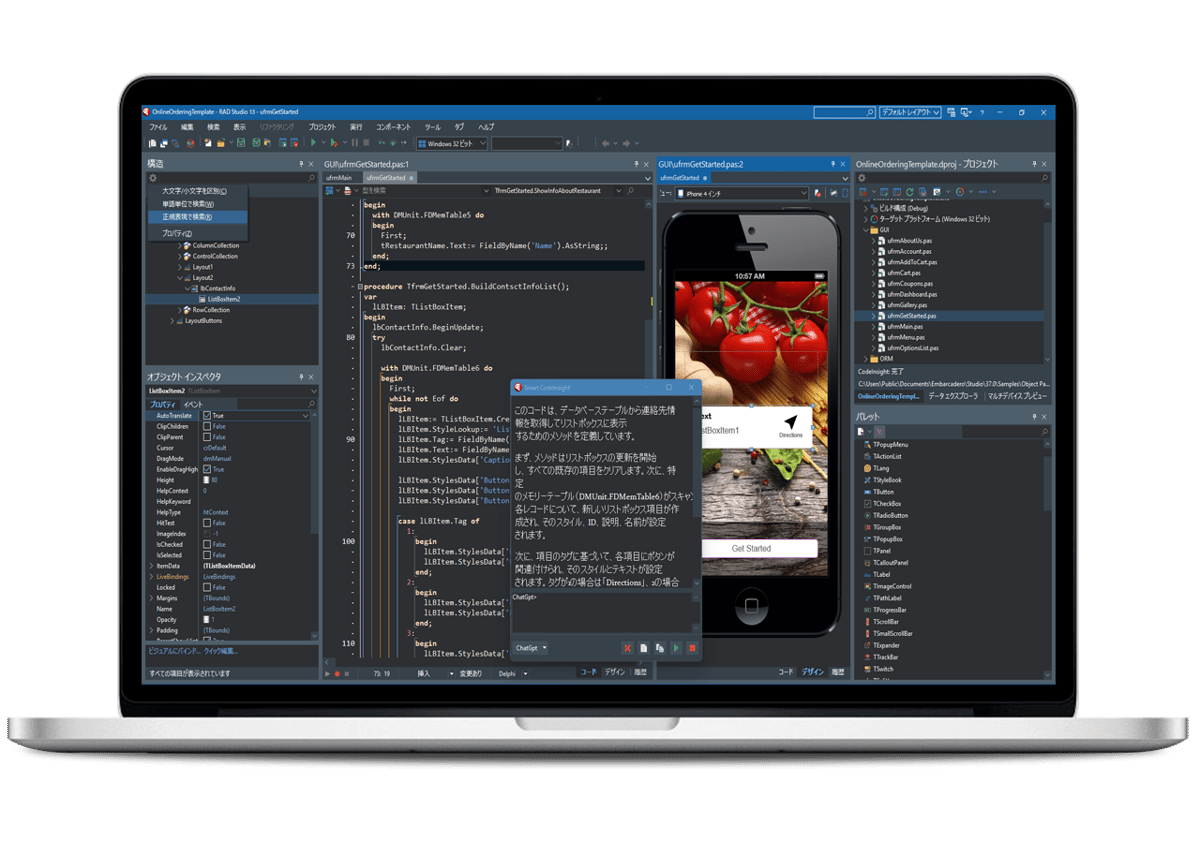 Delphi 13 Professional | EMBARCADERO DIRECT