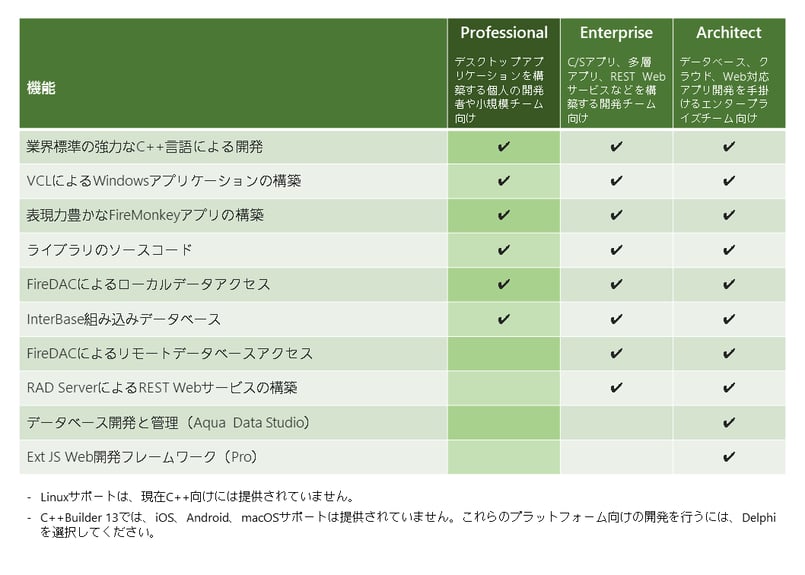 C++Builder 13 Professional 期間ライセンス（1年） | EMBARC