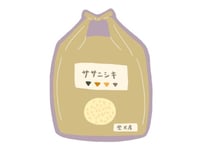令和7年産　ササニシキ10kg　送料無料