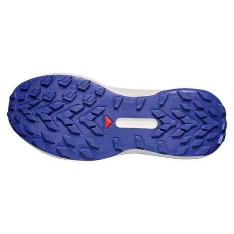 SALOMON サロモン /  GENESIS Women's ジェネシス［ウィメンズ］《Brunnera Blue/Persian Jewel/Deep Blue》