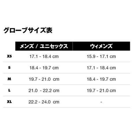 Black Diamond ブラックダイヤモンド / MONT BLANC Glove モンブラングローブ