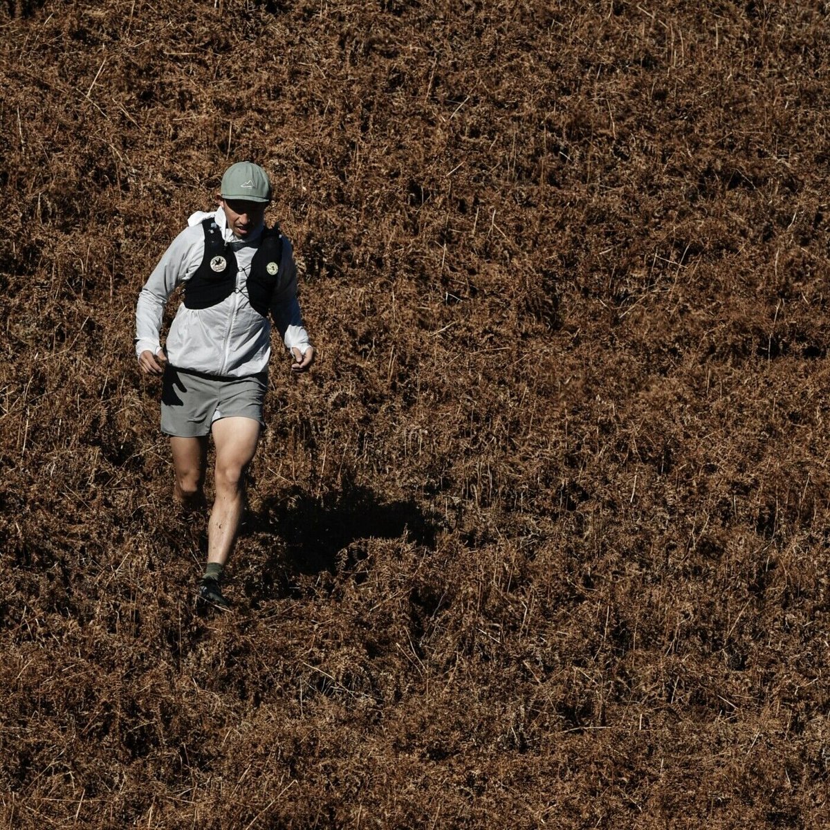 XSのみ】milestone マイルストーン / ナッティ ショーツ 5 インチ 2.0