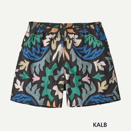 patagonia パタゴニア / Men's Baggies Shorts - 5 in. メンズ・バギーズ・ショーツ ５インチ