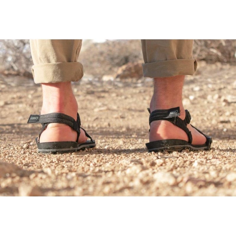 た*ま様 XERO SHOES ゼロシューズM's D-TRAIL 楽天市場】ゼロ