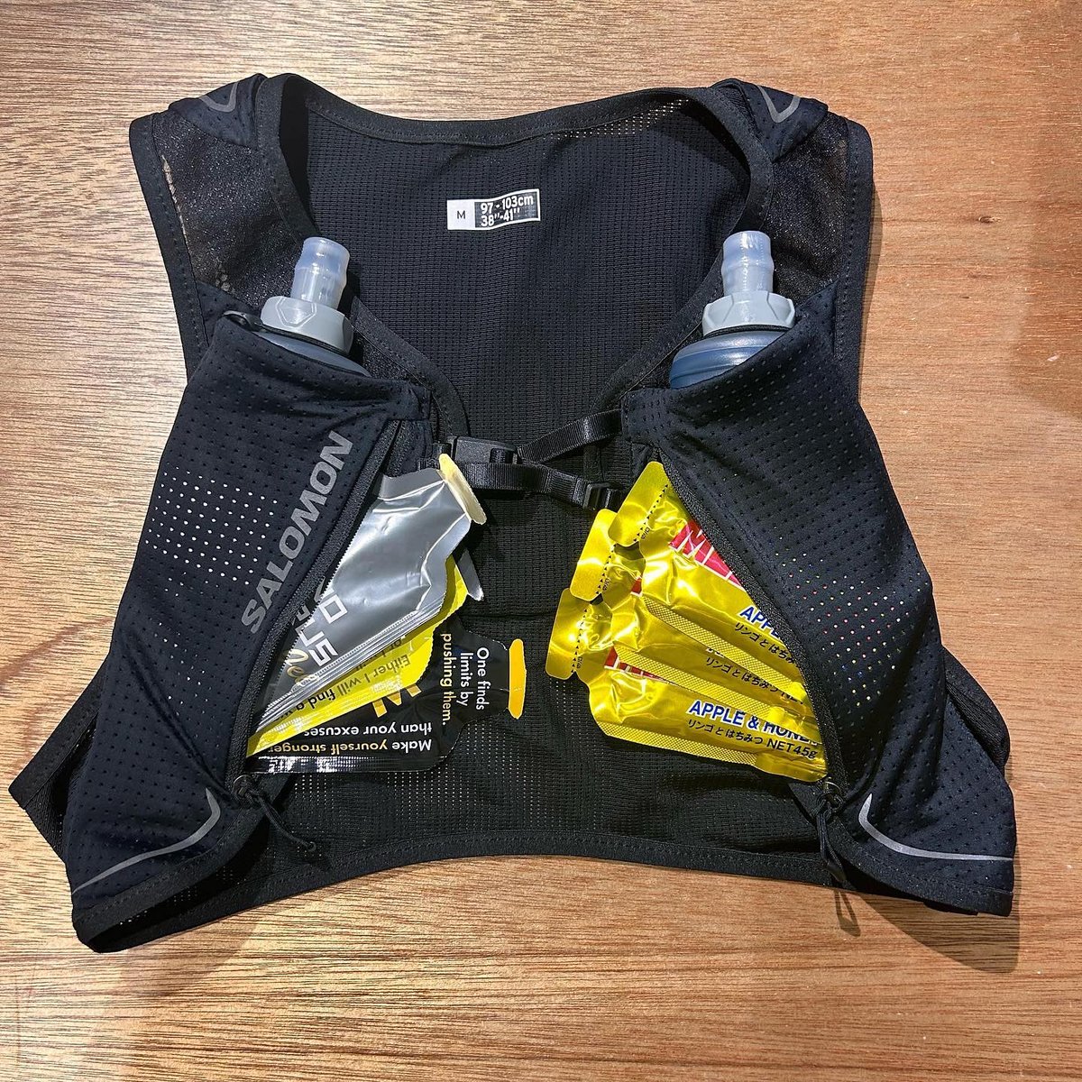 サロモン　パルス2 Lサイズ SALOMON サロモン / パルス 2 | Trippers