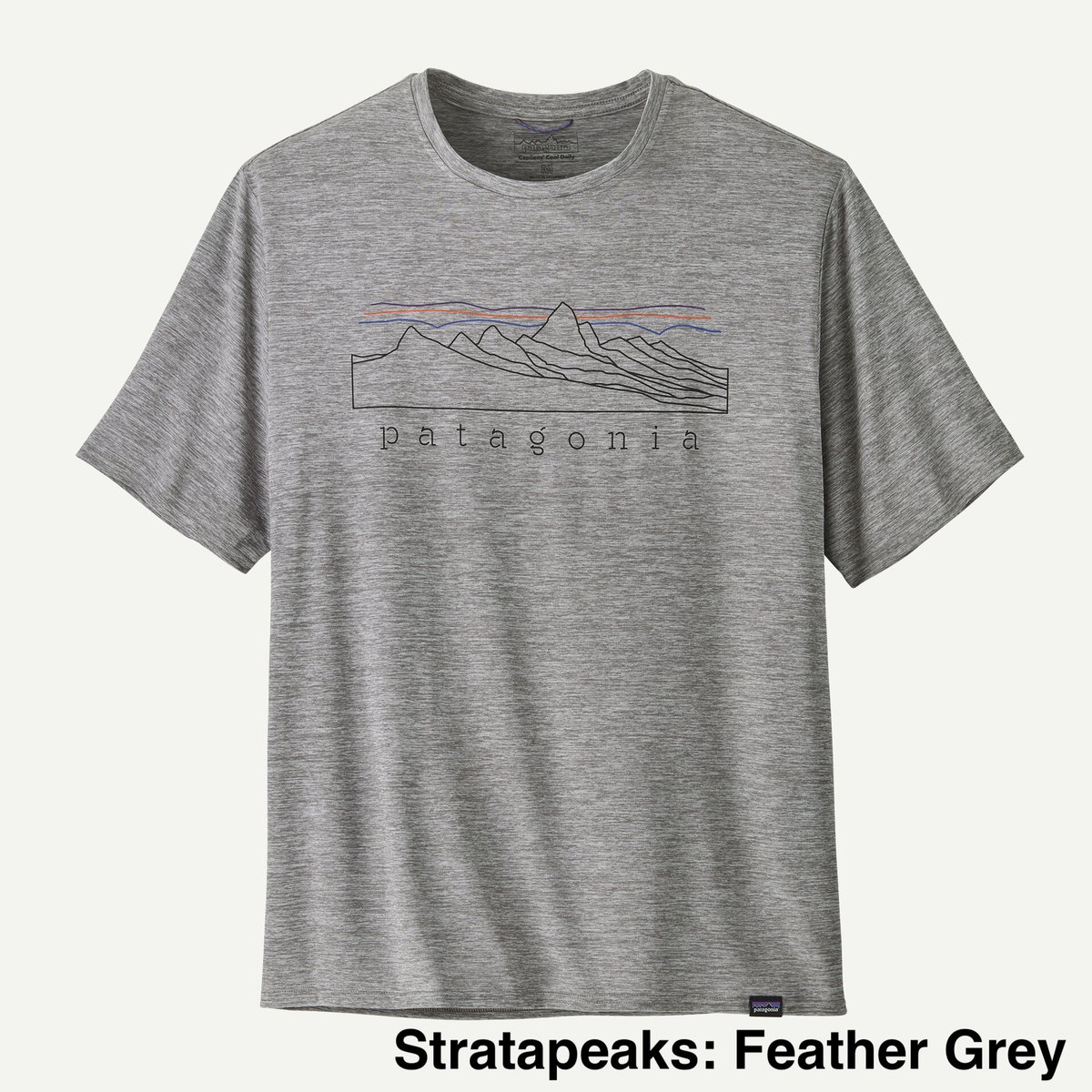 極美品！Patagonia パタゴニア Tシャツ キャプリーン クール デイリー patagonia（パタゴニア） / キャプリーンクールデイリー