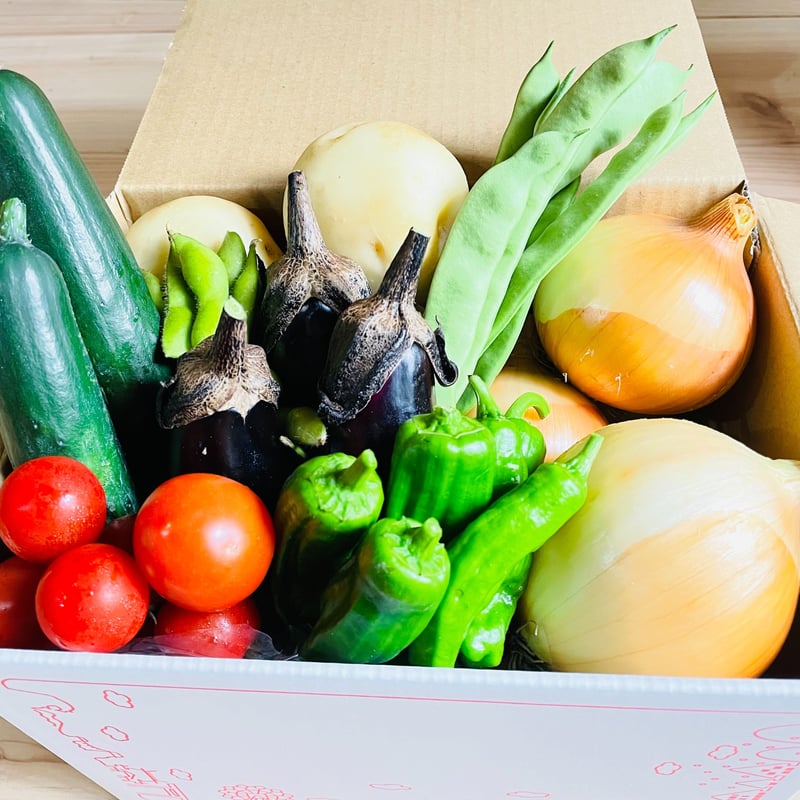 岐阜県山県市より】季節の無農薬野菜詰め合わせセット5品以上（プラス