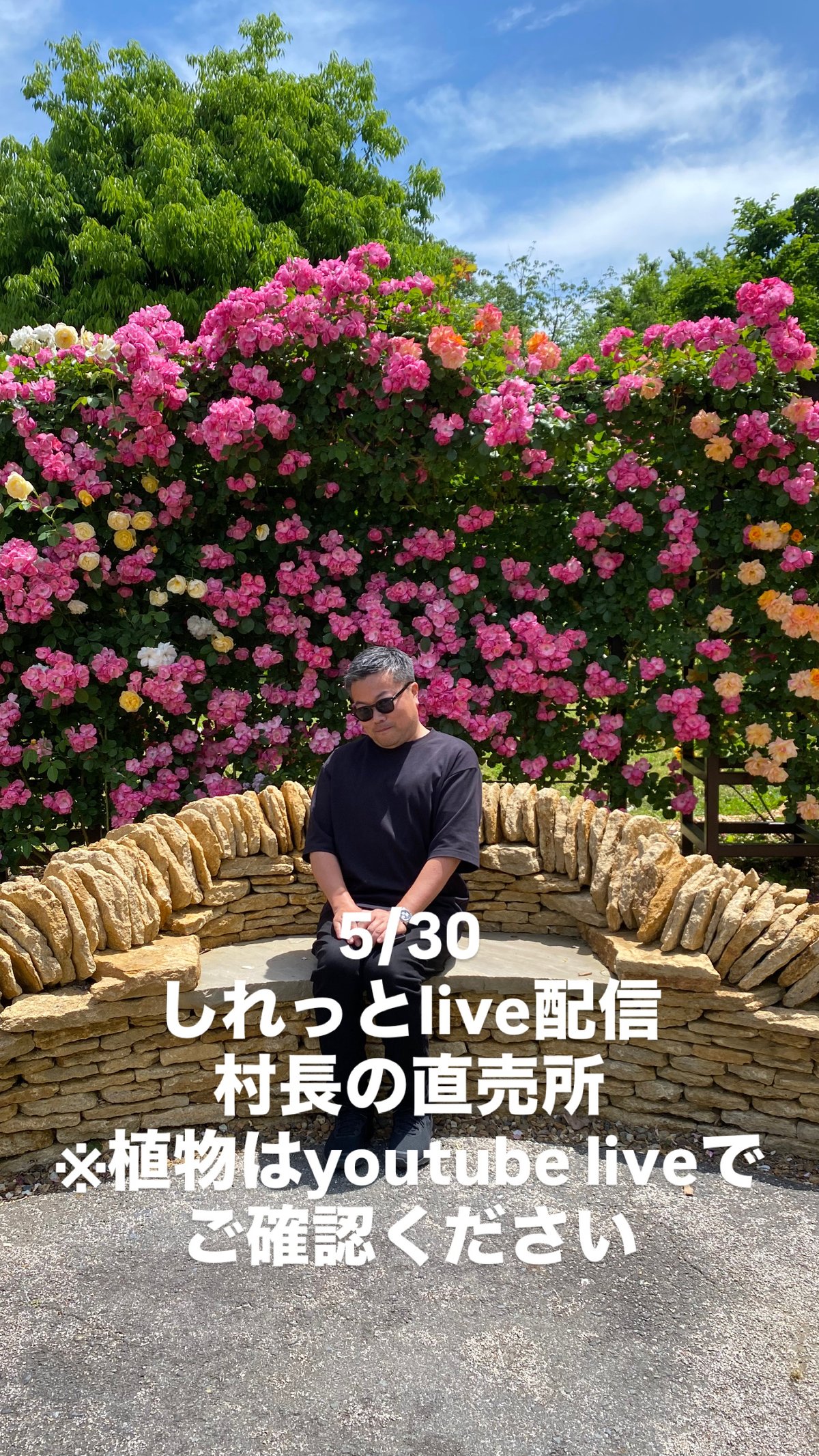 タグ付き ビカクシダ 村長の直売所 5/30】ビカクシダ ホワイトモンスター PBP | 村長の直売所