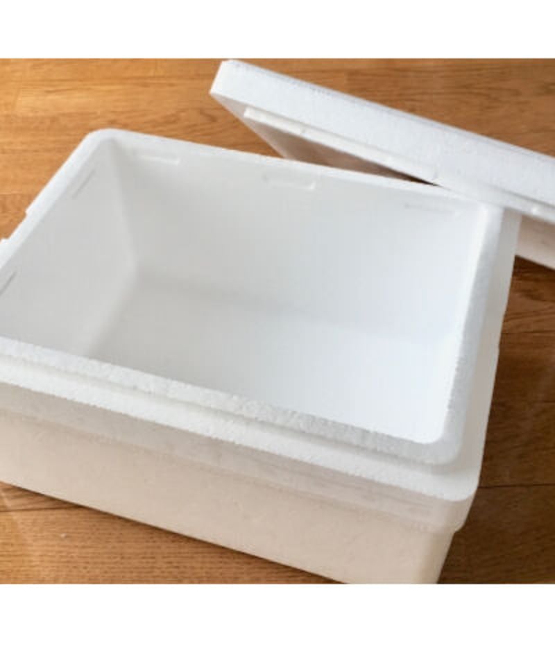 発送時梱包用発泡スチロール | 村長の直売所