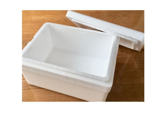 発送時梱包用発泡スチロール | 村長の直売所