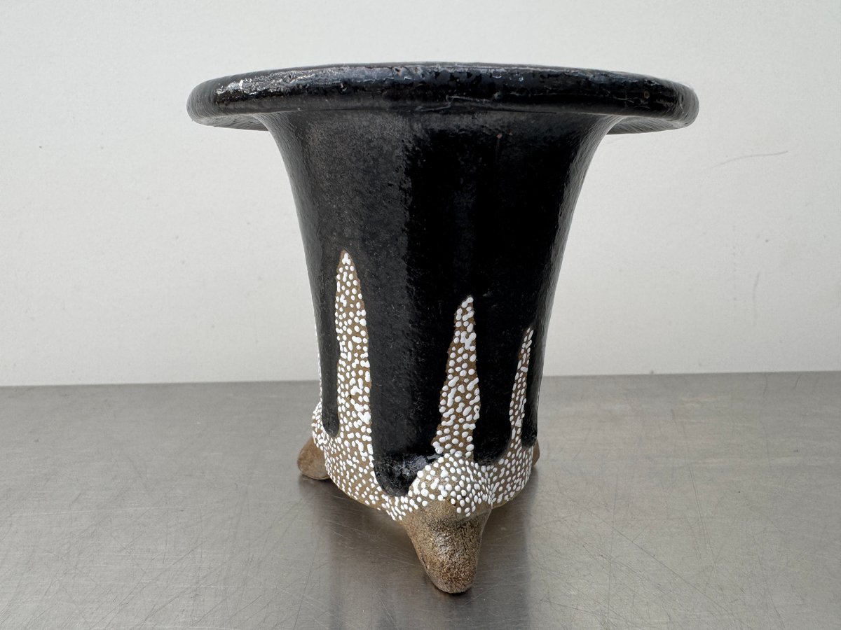 万年青鉢 fit=scale-down,w=1200