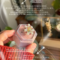 Power stone ring 【garnet】