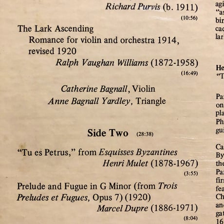 Richard Morgan, Catherine Bagnall / TU ES PETRA