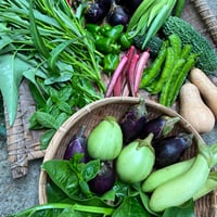 無農薬の自然栽培【おまかせ野菜セット】