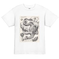 佐野藍個展限定Tシャツ「Image Combing」ホワイト