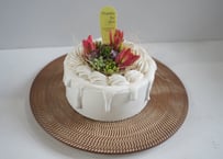 ホールケーキ(ホワイト)寄せ植え 多肉植物　【多肉植物 寄せ植え スイーツ鉢】ホールケーキ型アレンジ｜誕生日・母の日2026 ギフトに｜可愛いインテリアグリーン