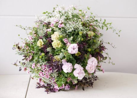 【オーダー専用】季節の草花ウォールバスケット プランツギャザリング