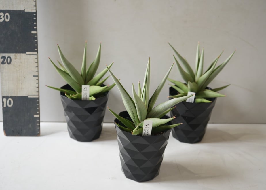 6a1f80b1e4567c000184e372