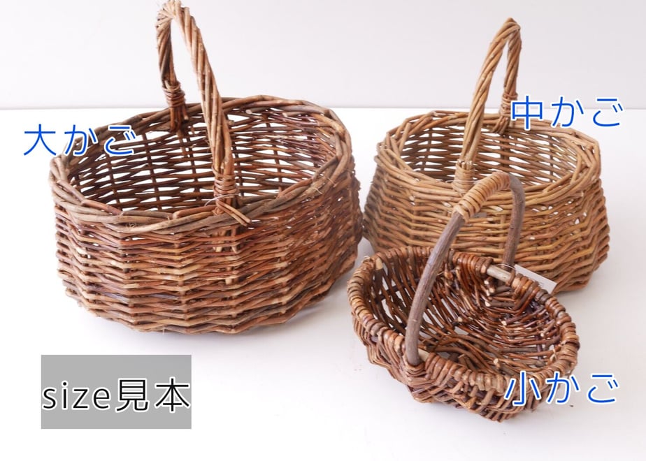 6250a8616b87c344325cb6cc