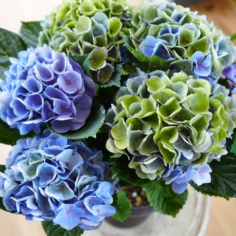 3.秋色紫陽花スワッグ 秋色紫陽花のスワッグ3点✨, 頑張って今日中に