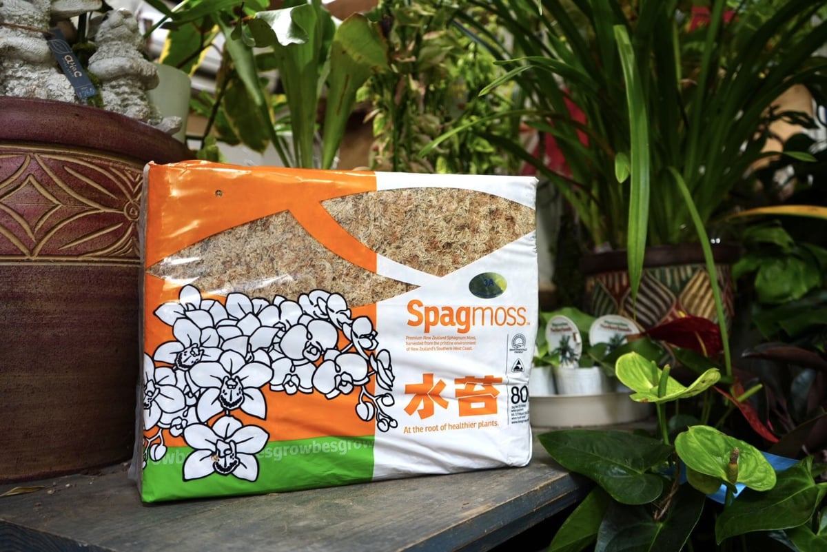 水苔 Spag moss AAAランク 80L | インテリアグリーンとギフトプランツ