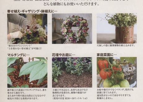 ベラボン　bellabon premium 50L