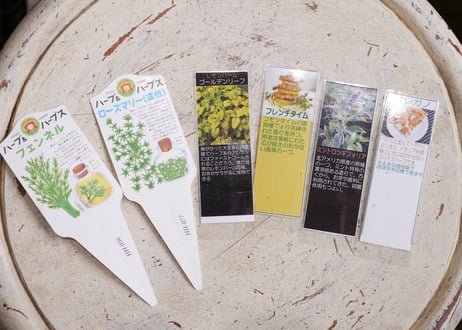 【おまかせコース 4000円】フレッシュハーブのバスケット寄せ植え　ギフト　お料理