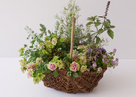 【おまかせコース 10000円】 季節の花苗 花かご　寄せ植え   両手いっぱいの寄せ植え　ギフト お祝い 新築祝い 開店祝い